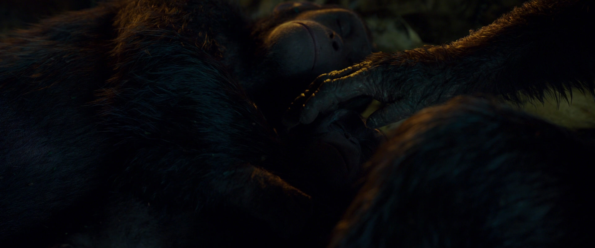 War for the Planet of the Apes (2017) movie still 1972