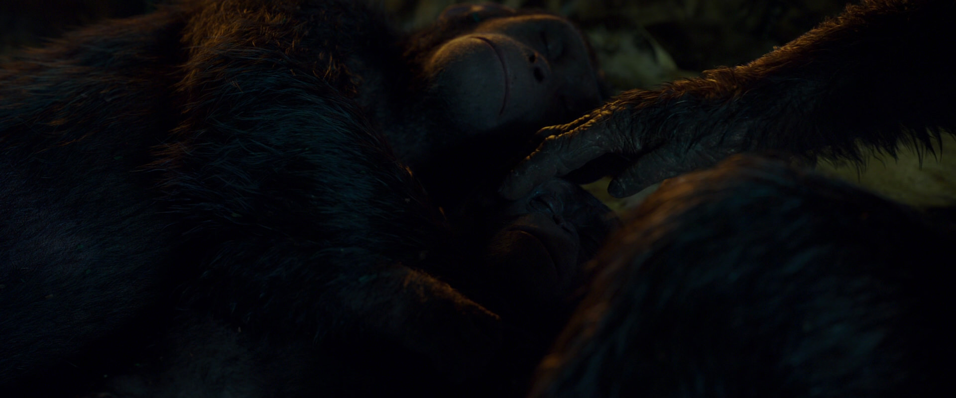 War for the Planet of the Apes (2017) HD screenshot 1973