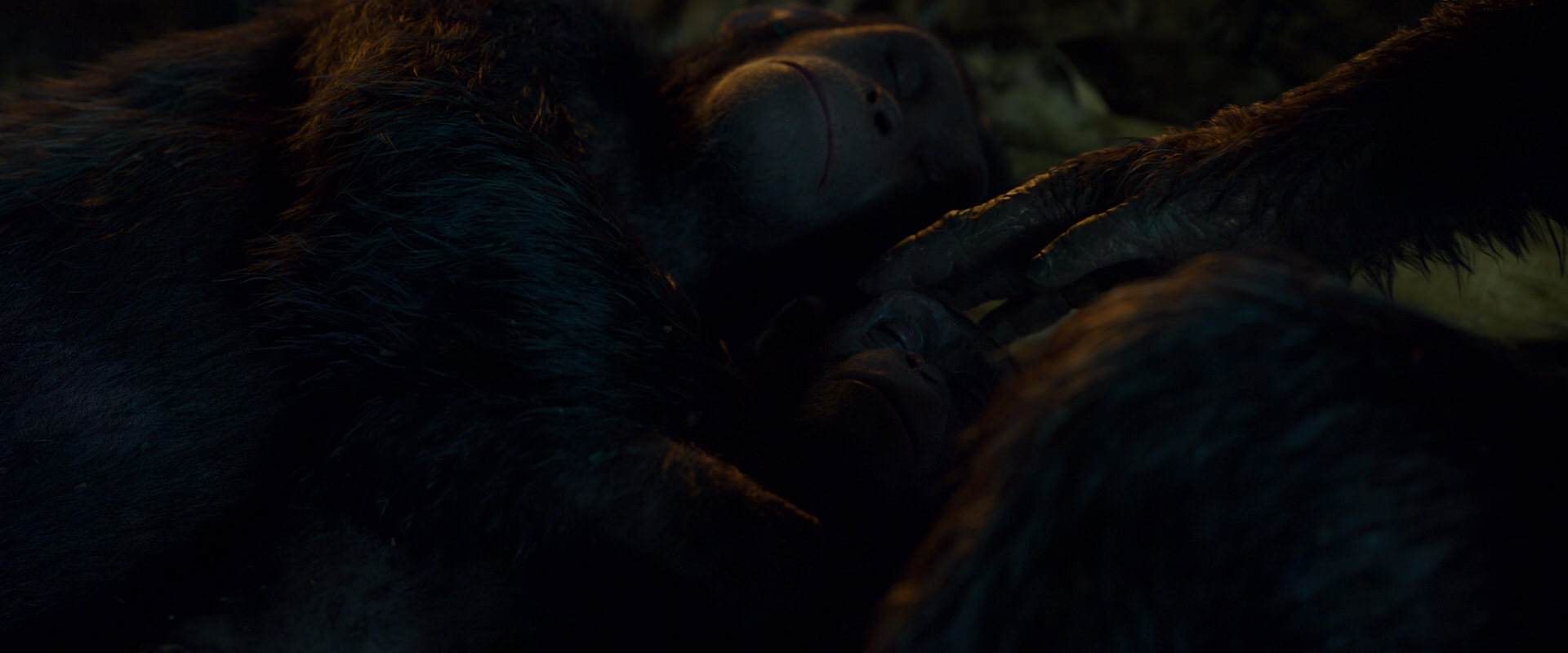 War for the Planet of the Apes (2017) screencap 1974