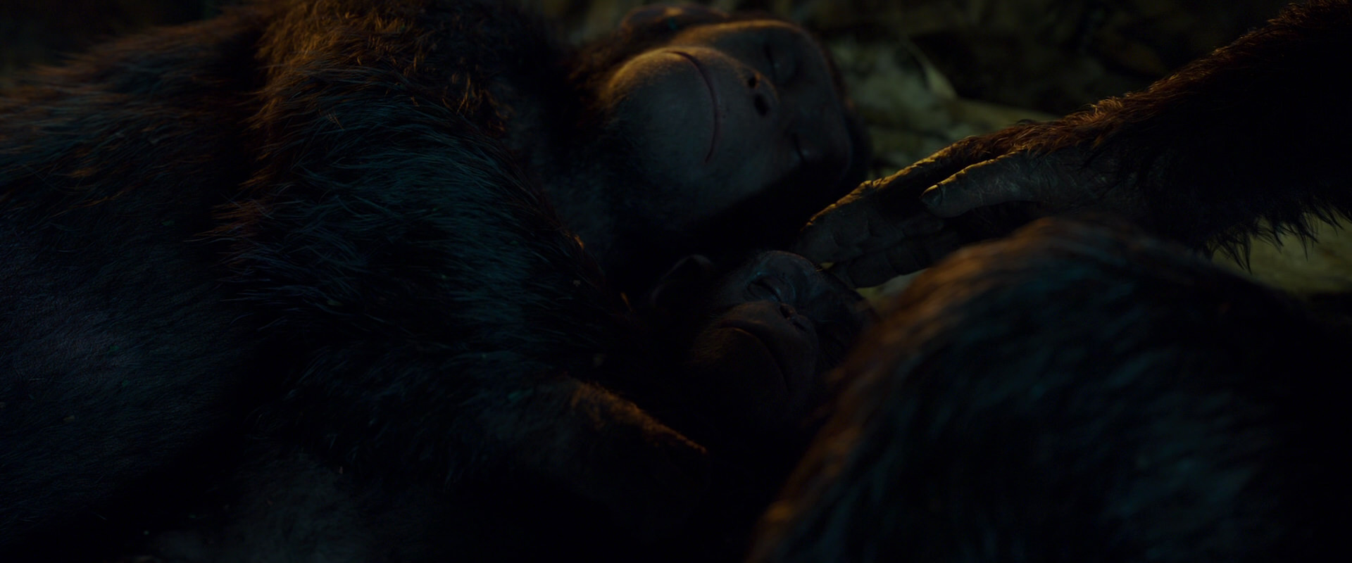War for the Planet of the Apes (2017) HD screenshot 1976