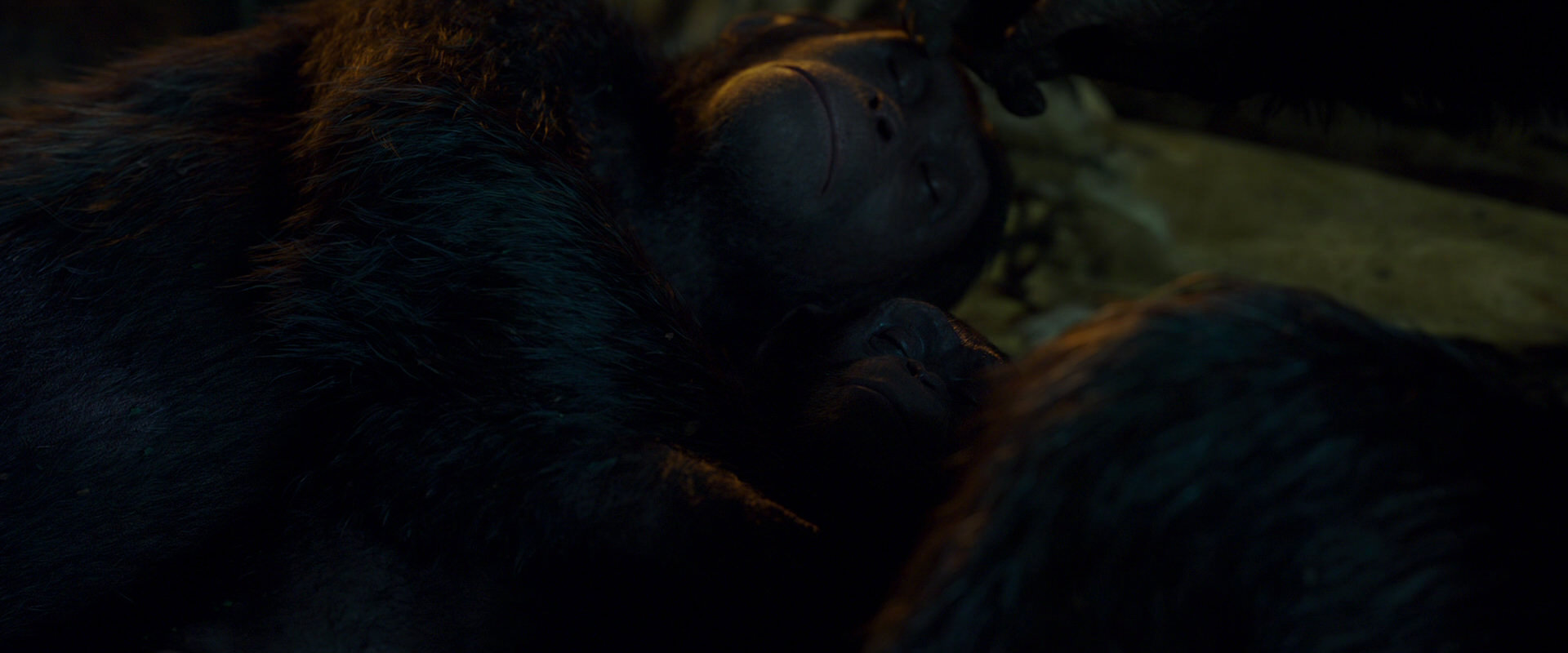 War for the Planet of the Apes (2017) movie still 1981