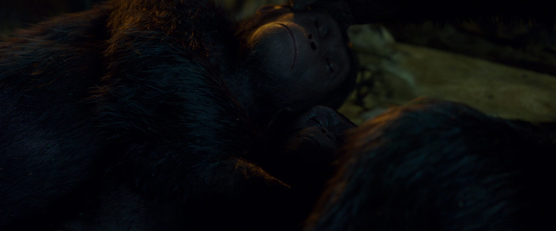 War for the Planet of the Apes (2017) screencap 1983