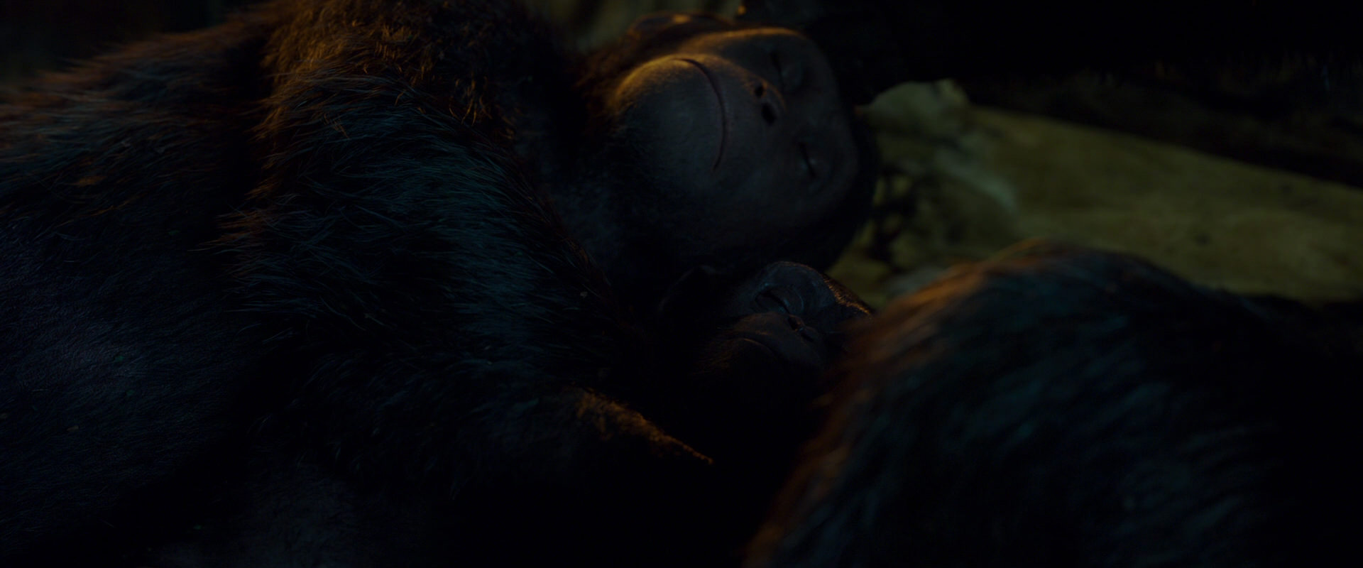 War for the Planet of the Apes (2017) movie still 1984