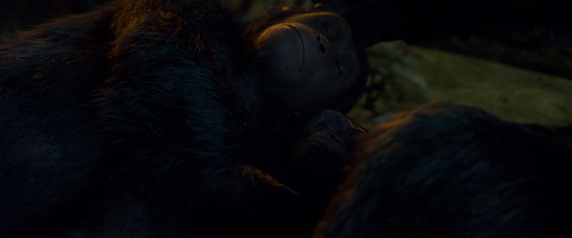 War for the Planet of the Apes (2017) HD screenshot 1985