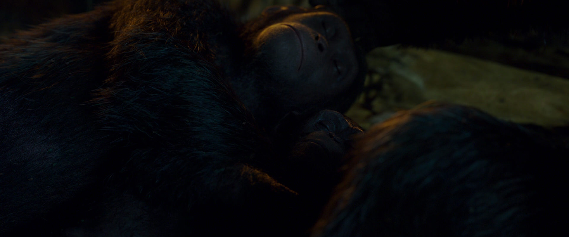 War for the Planet of the Apes (2017) screencap 1986
