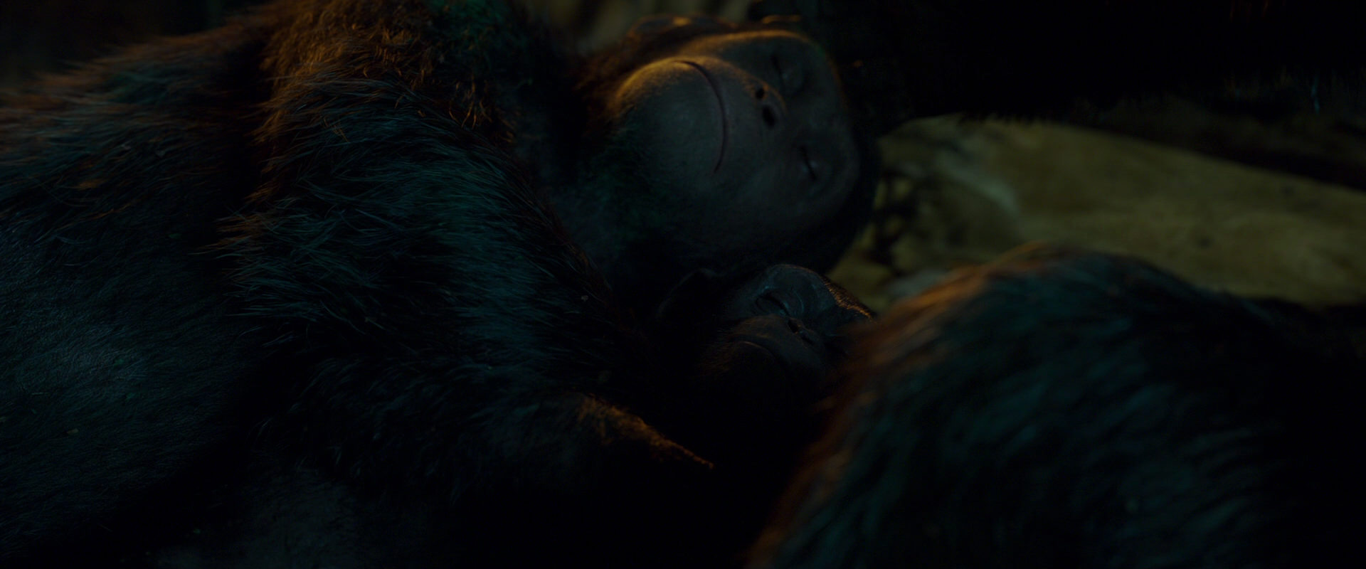 War for the Planet of the Apes (2017) movie still 1987