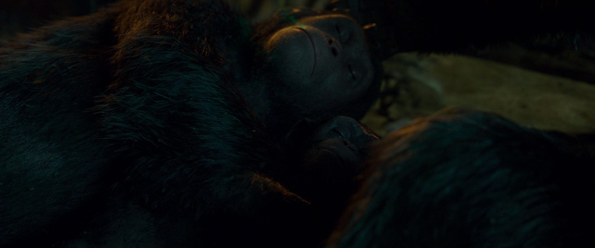 War for the Planet of the Apes (2017) HD screenshot 1988