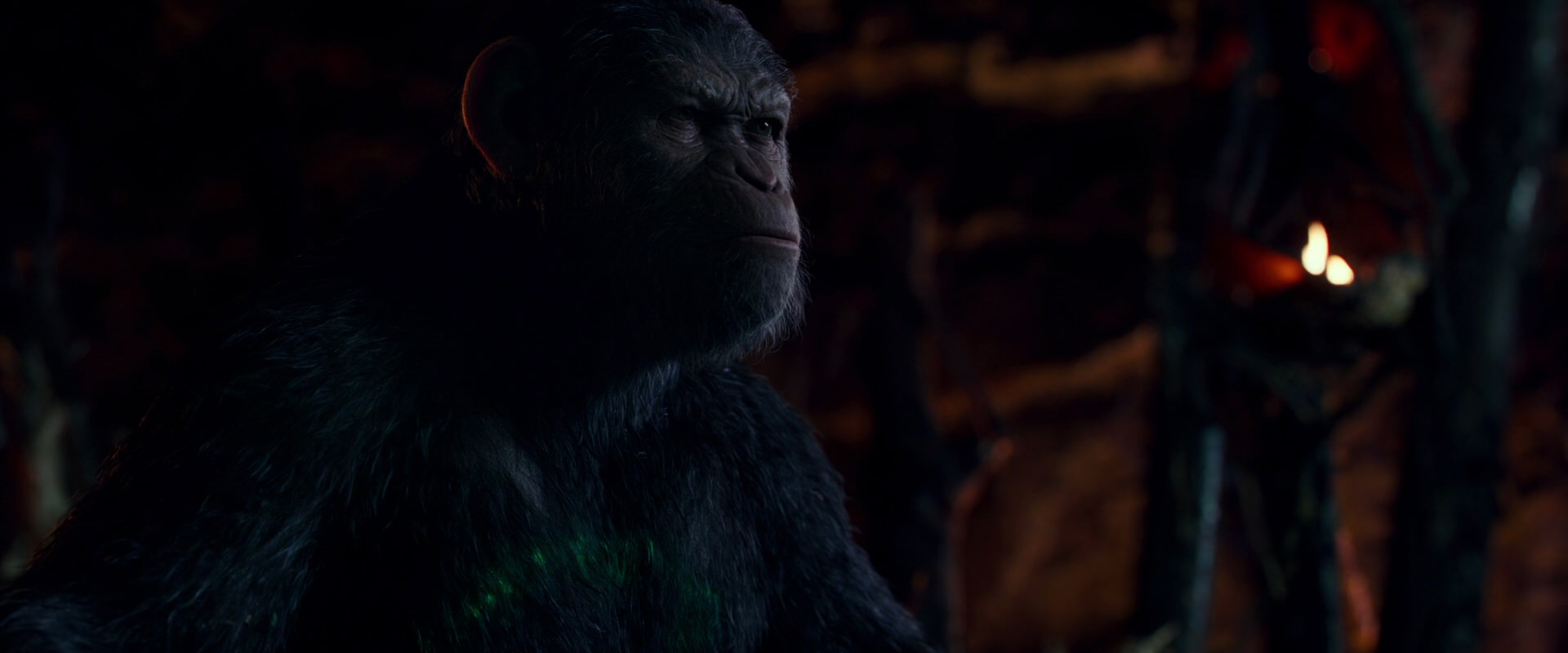War for the Planet of the Apes (2017) screencap 1995