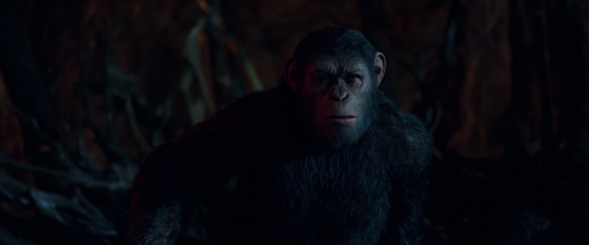 War for the Planet of the Apes (2017) screencap 2004