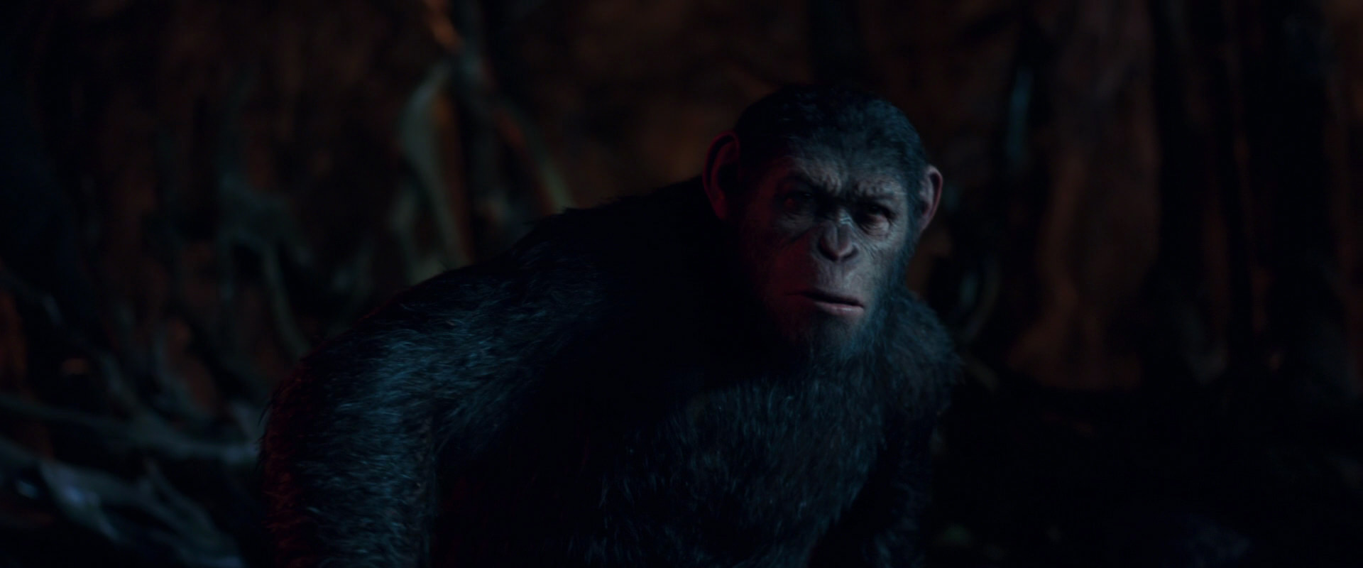 War for the Planet of the Apes (2017) movie still 2005