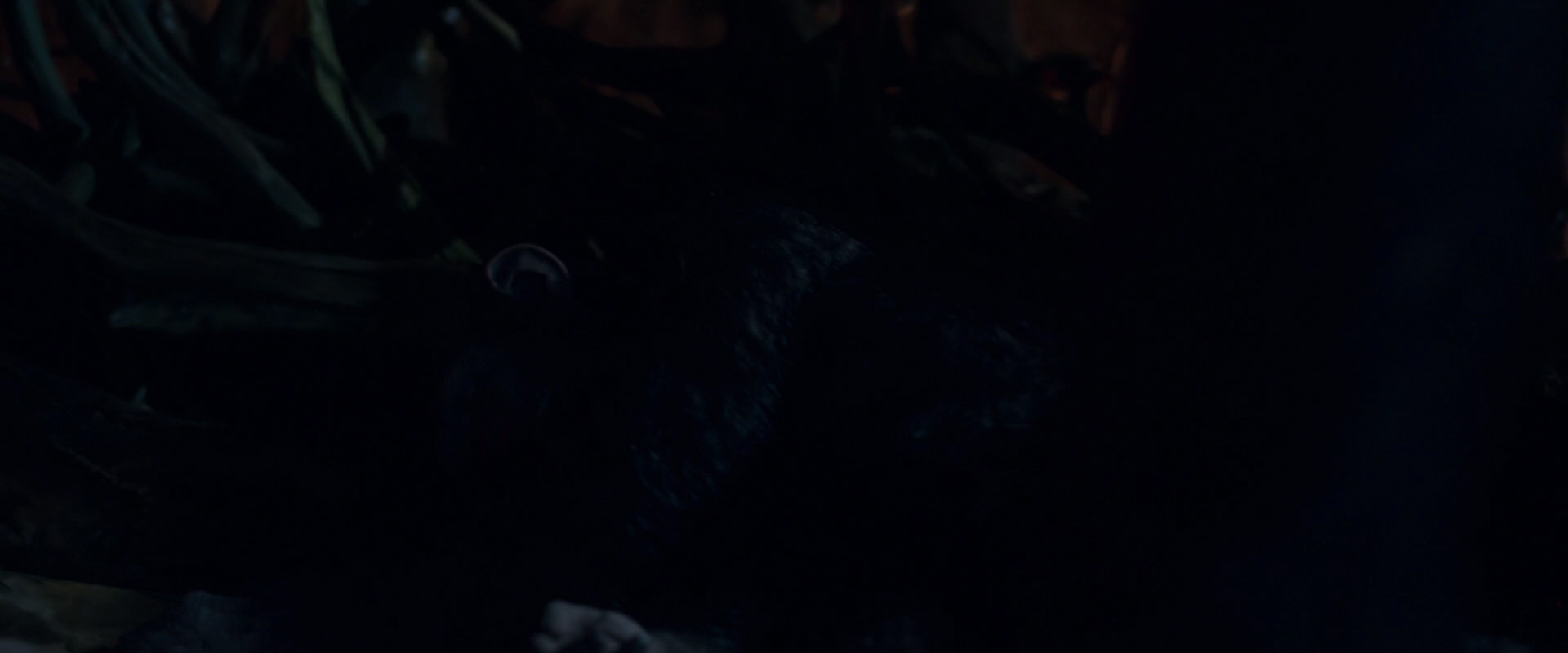 War for the Planet of the Apes (2017) screencap 2016