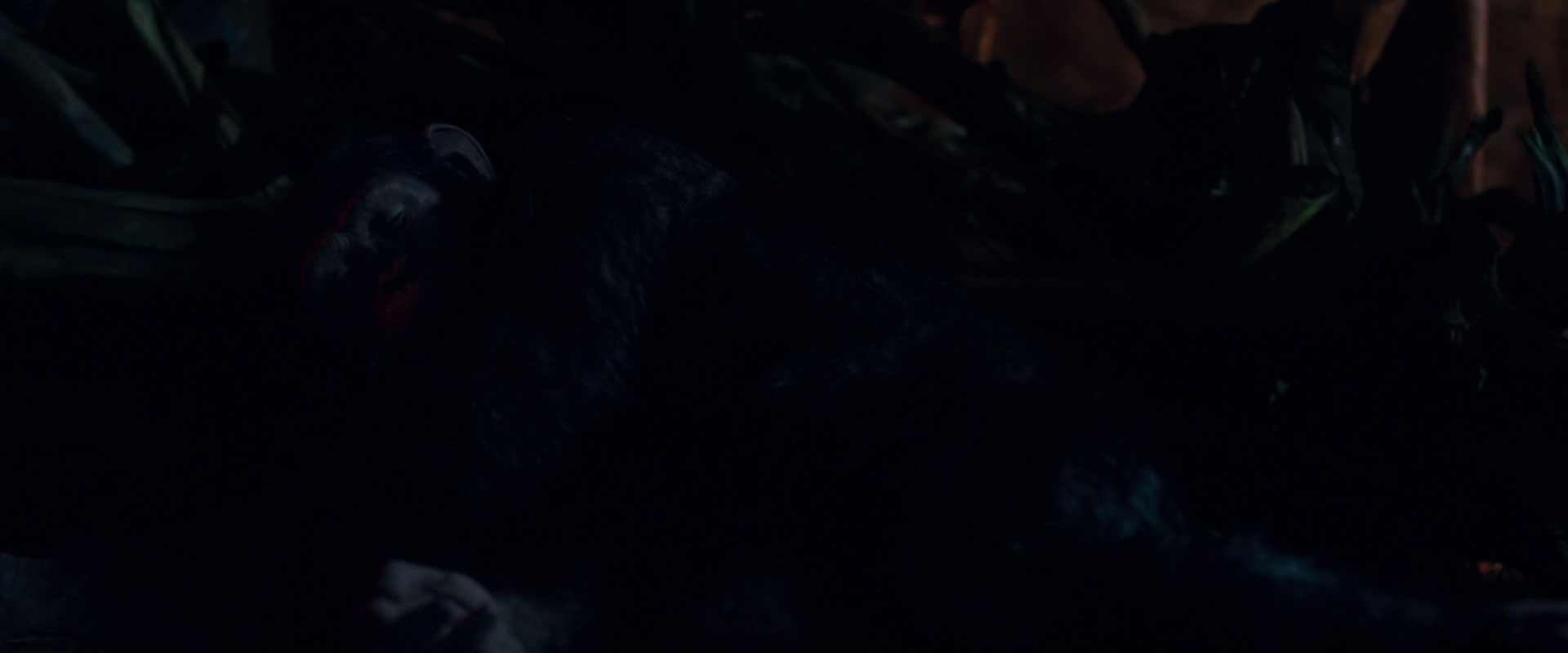 War for the Planet of the Apes (2017) HD screenshot 2018
