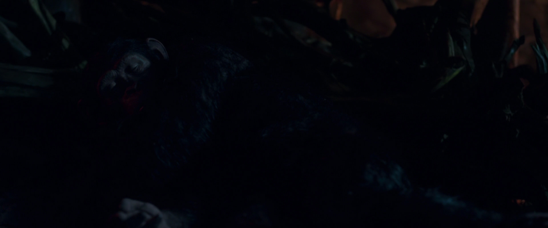 War for the Planet of the Apes (2017) screencap 2019