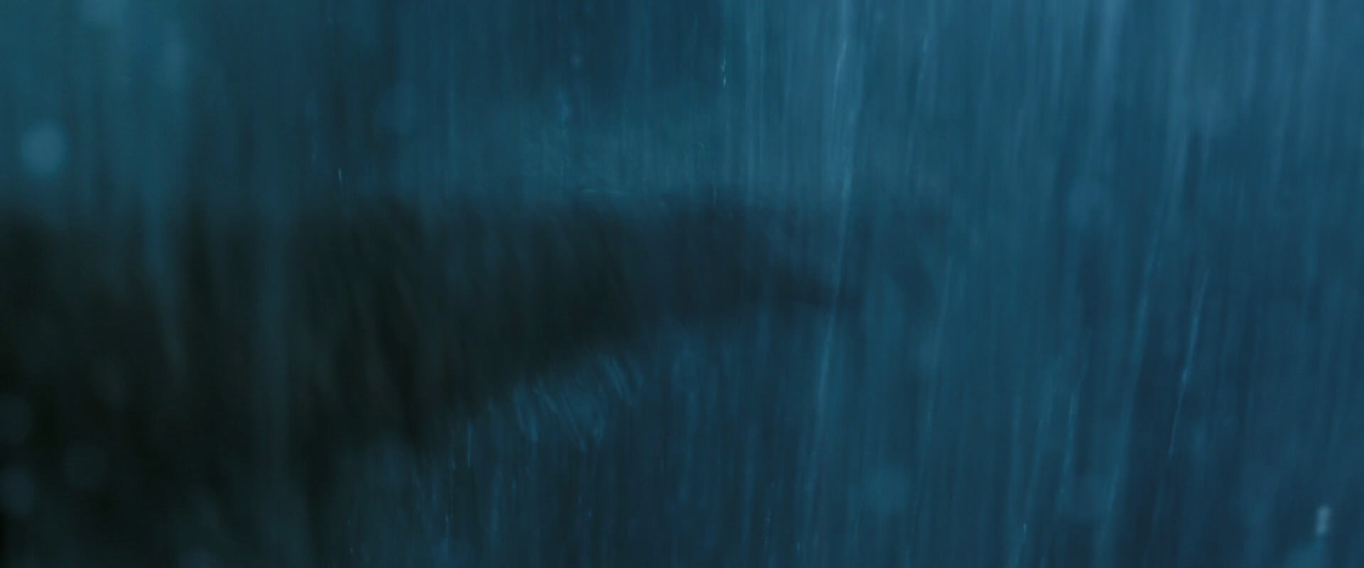 War for the Planet of the Apes (2017) screencap 2052