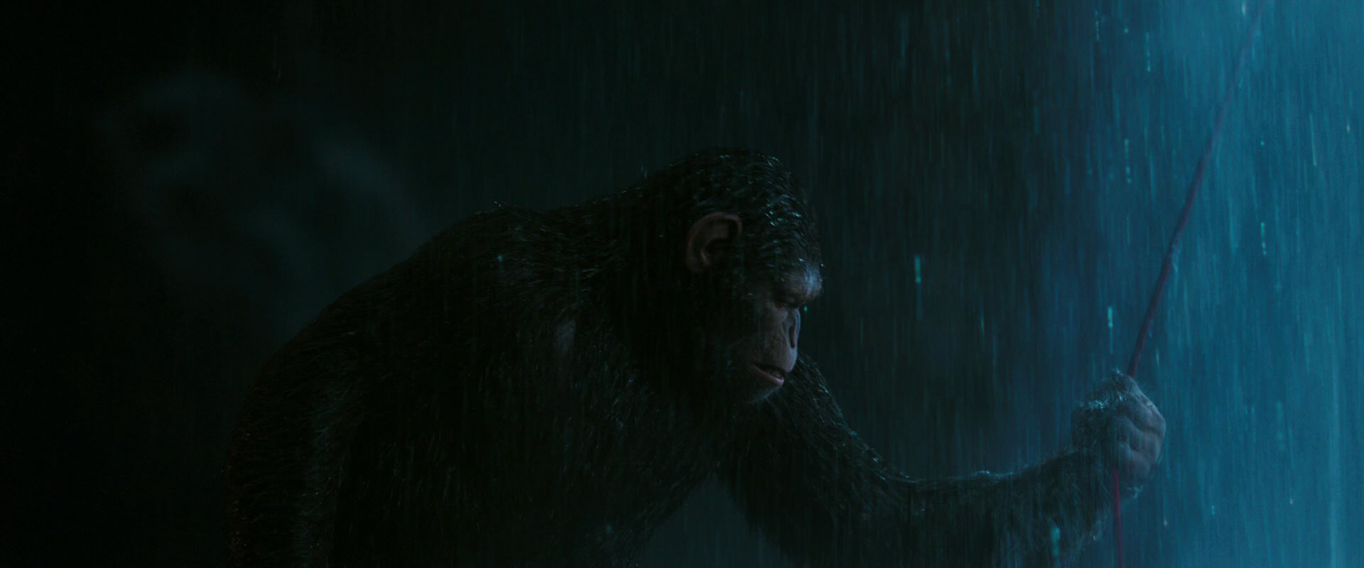 War for the Planet of the Apes (2017) movie still 2056