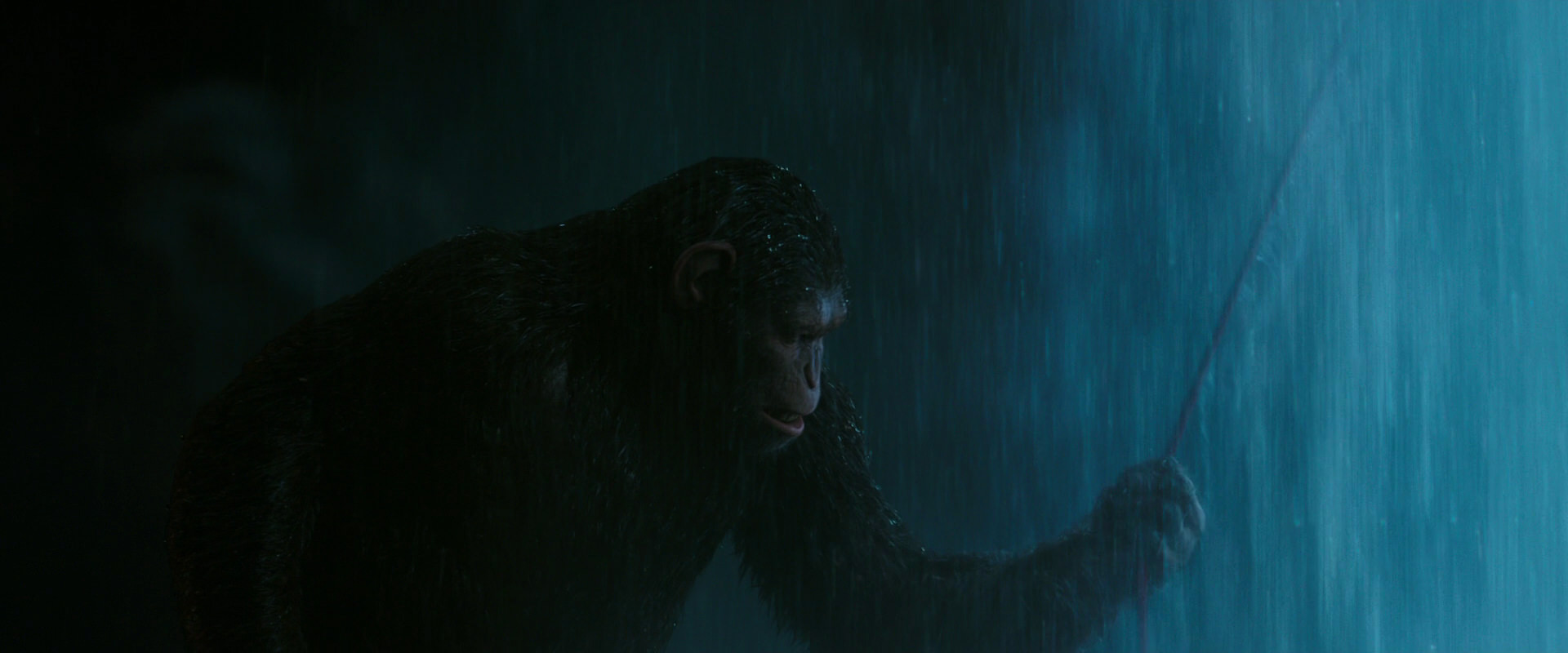 War for the Planet of the Apes (2017) screencap 2058