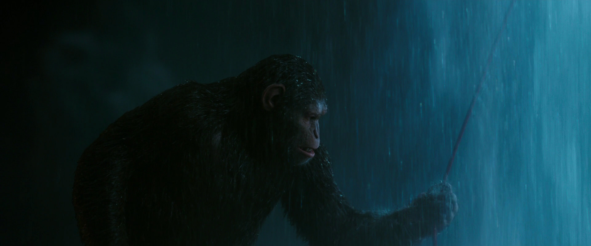 War for the Planet of the Apes (2017) movie still 2059