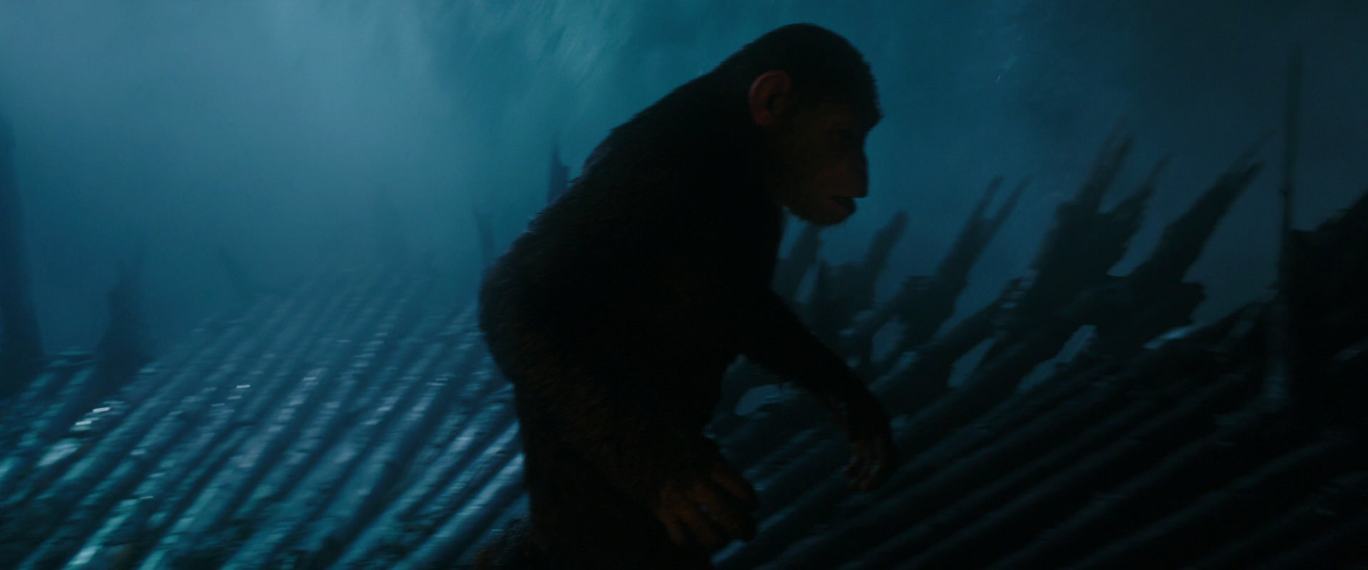 War for the Planet of the Apes (2017) movie still 2092
