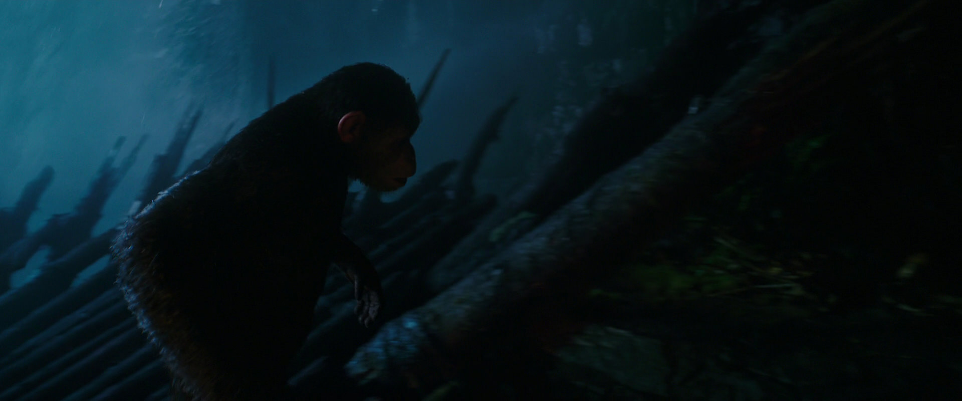 War for the Planet of the Apes (2017) movie still 2095