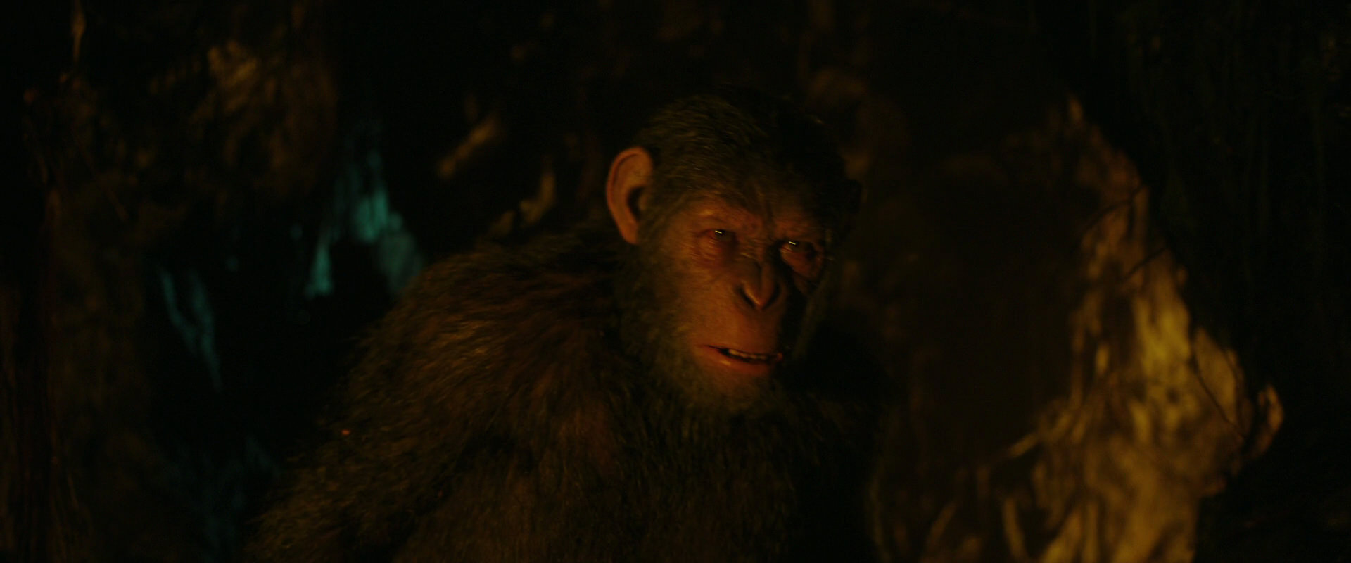 War for the Planet of the Apes (2017) movie still 2155