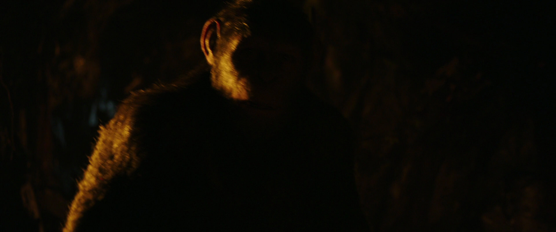 War for the Planet of the Apes (2017) screencap 2163