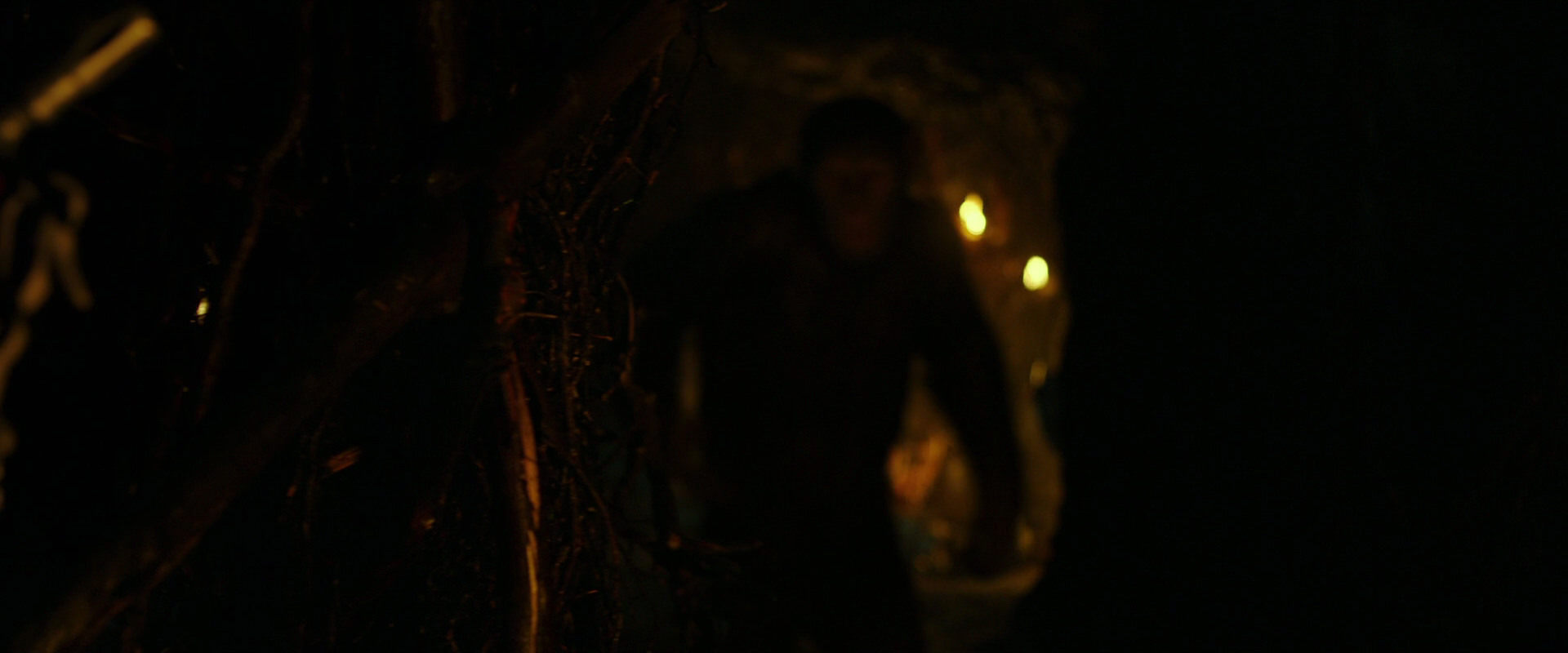 War for the Planet of the Apes (2017) screencap 2166