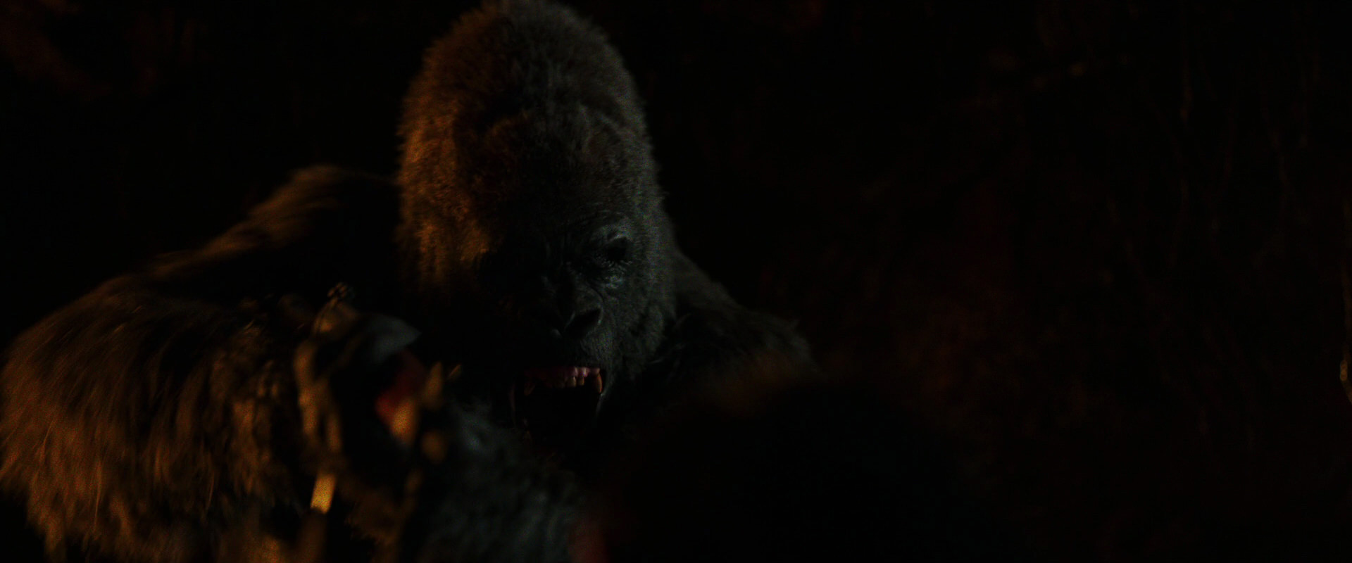 War for the Planet of the Apes (2017) screencap 2169