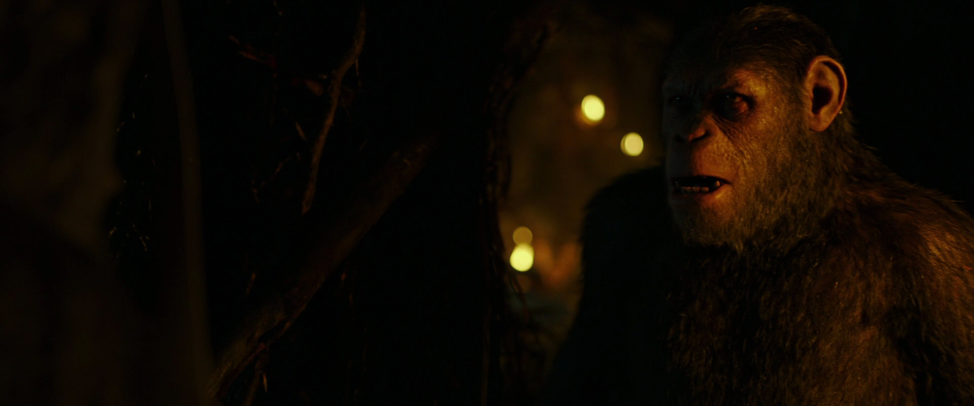 War for the Planet of the Apes (2017) screencap 2172