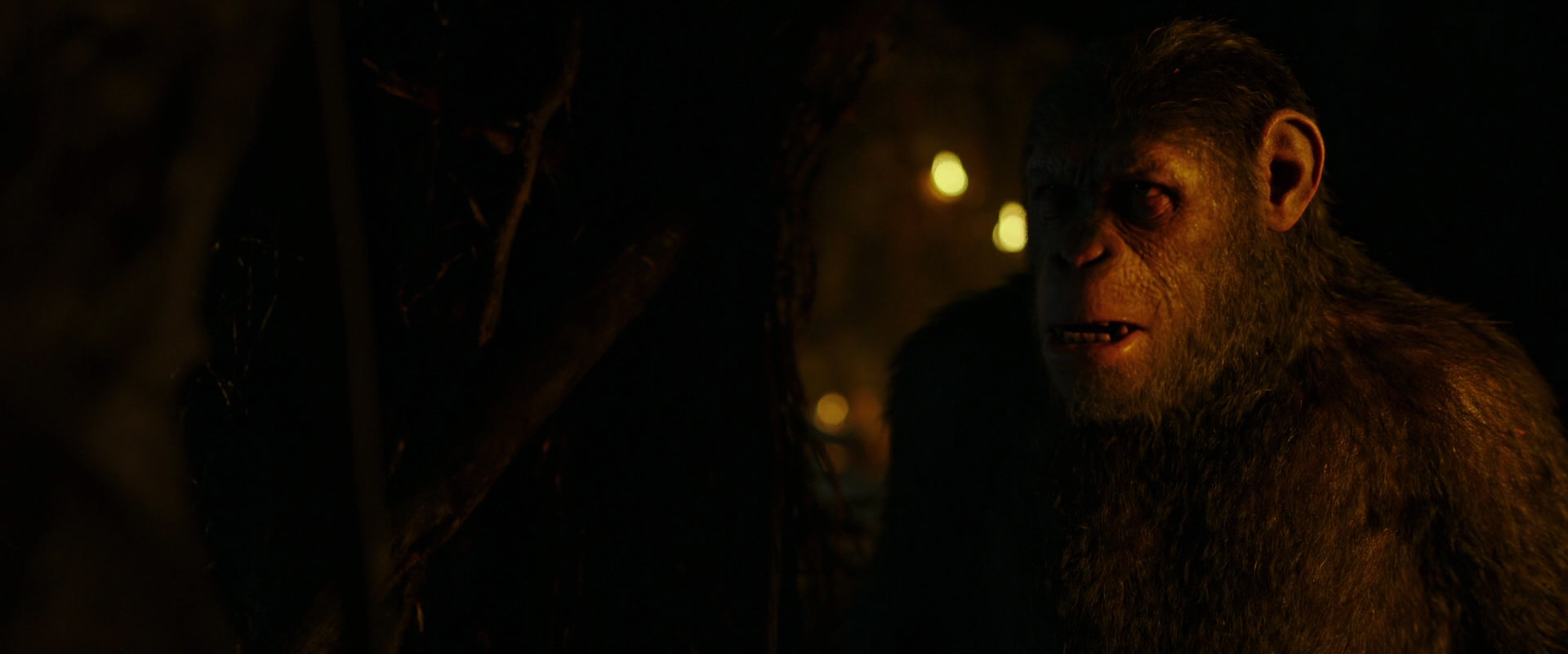 War for the Planet of the Apes (2017) movie still 2173