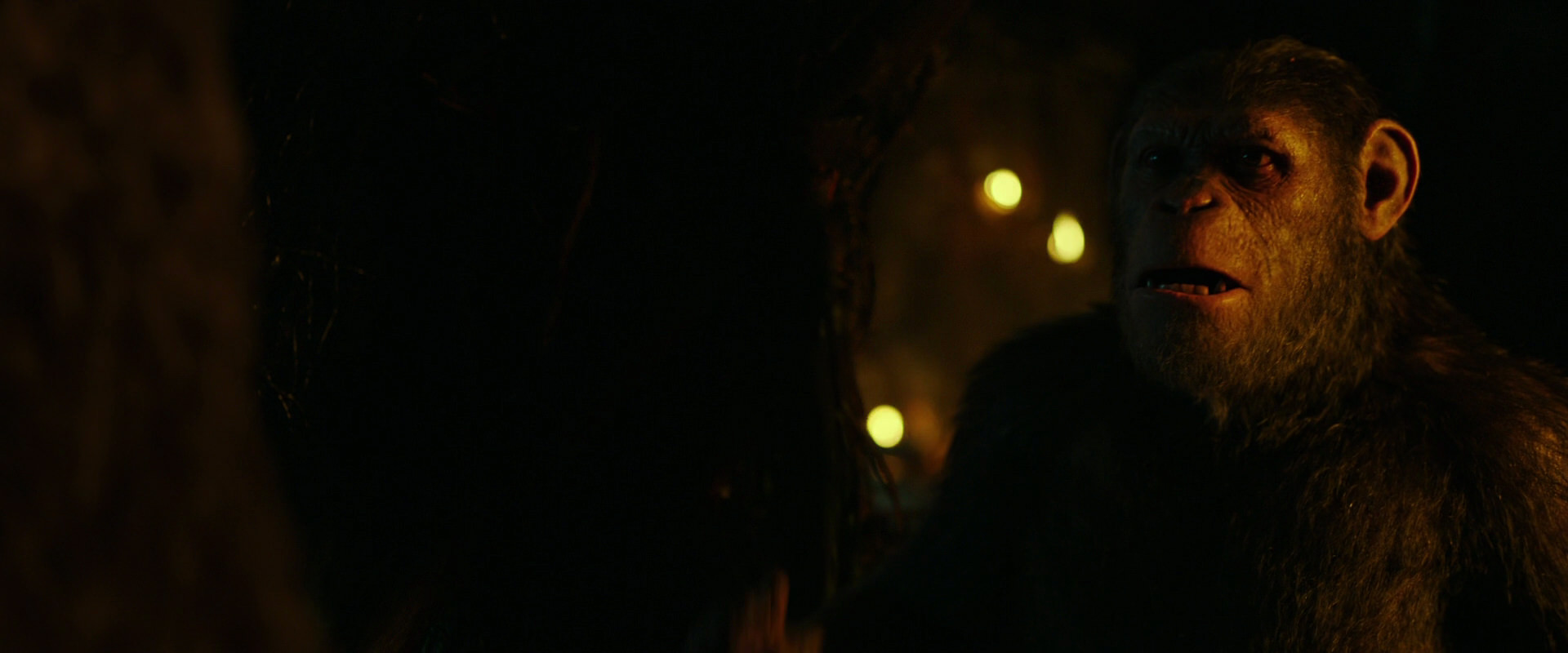 War for the Planet of the Apes (2017) screencap 2178