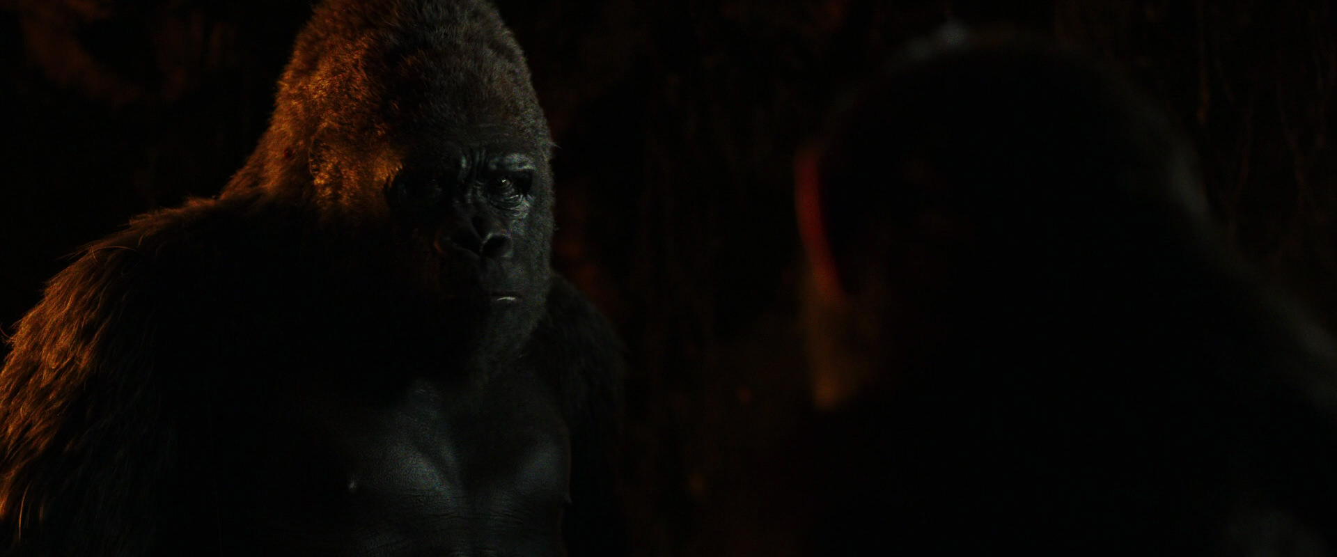 War for the Planet of the Apes (2017) screencap 2181
