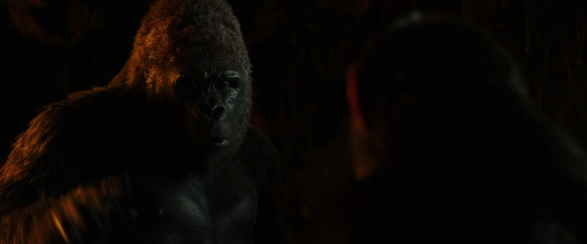 War for the Planet of the Apes (2017) movie still 2182