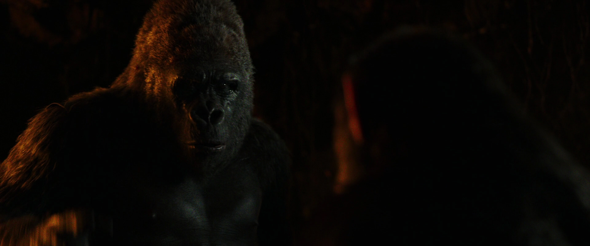 War for the Planet of the Apes (2017) screencap 2184