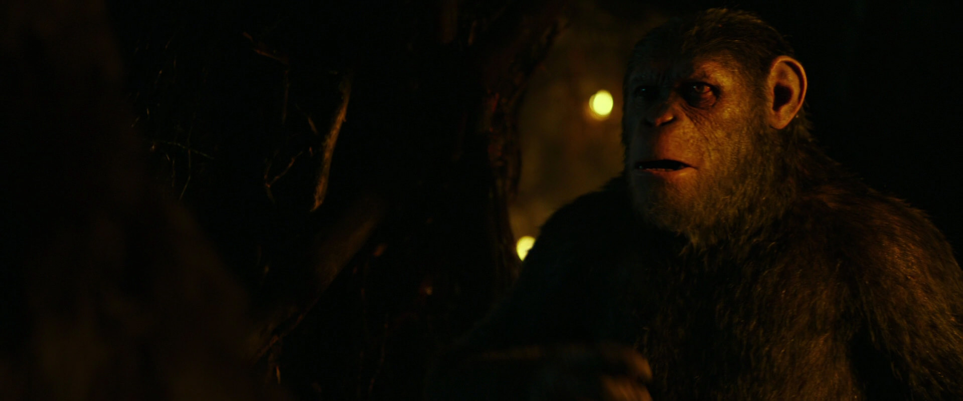 War for the Planet of the Apes (2017) movie still 2185