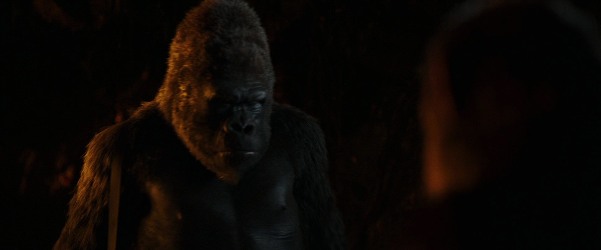 War for the Planet of the Apes (2017) screencap 2187