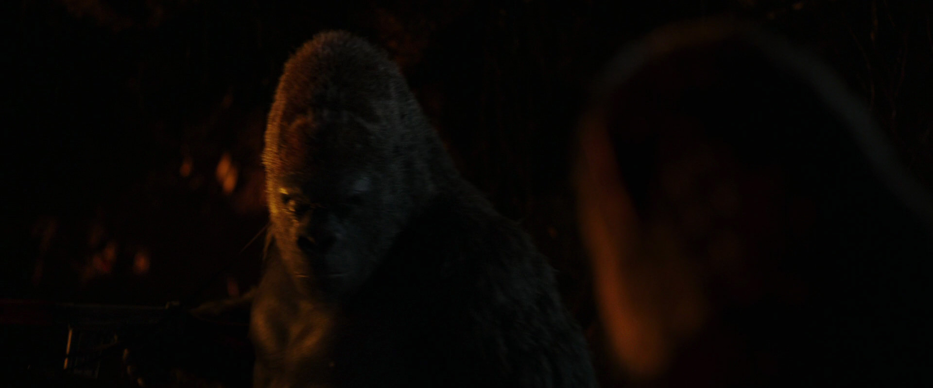 War for the Planet of the Apes (2017) HD screenshot 2192