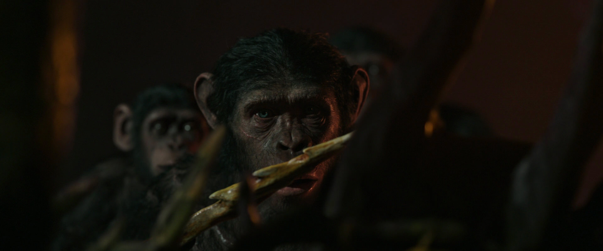 War for the Planet of the Apes (2017) screencap 2223