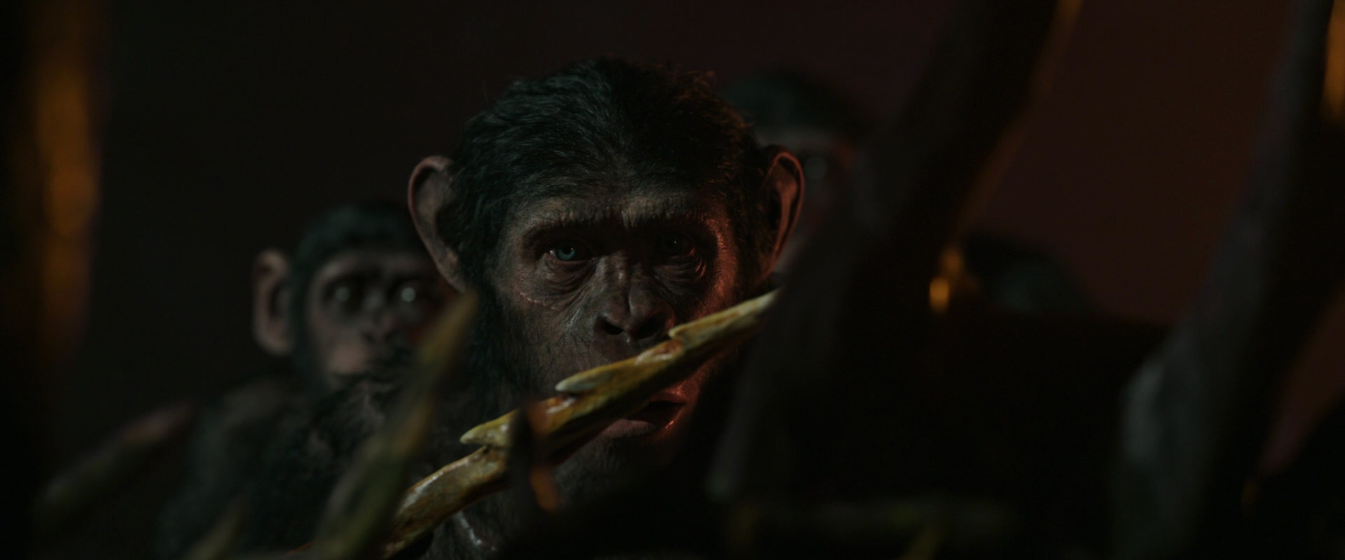 War for the Planet of the Apes (2017) movie still 2224