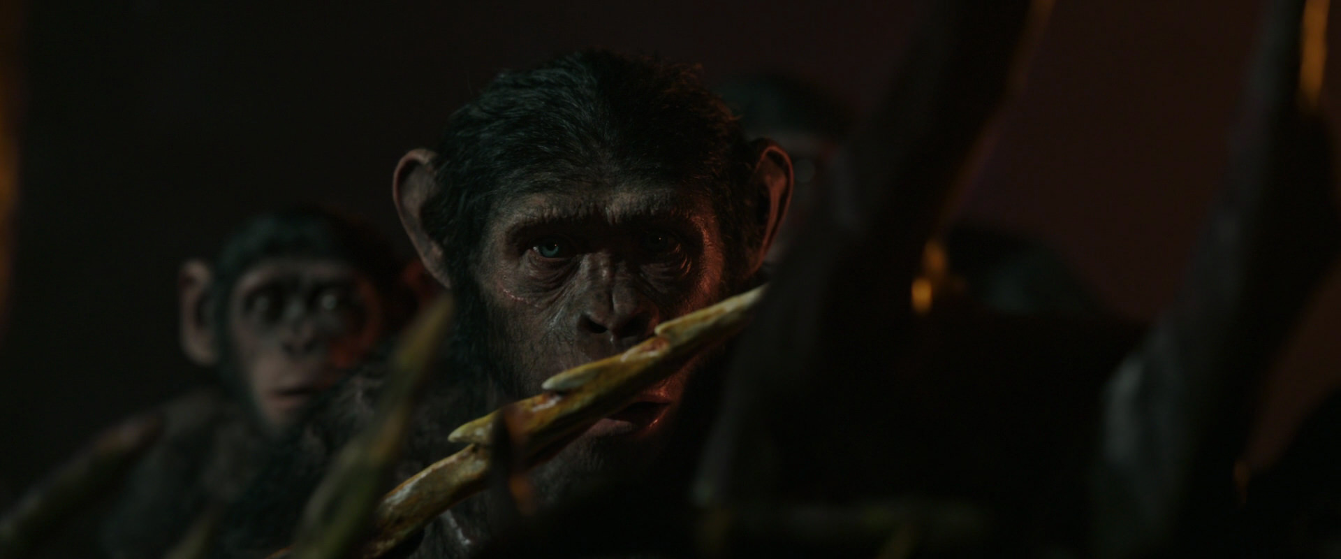 War for the Planet of the Apes (2017) HD screenshot 2225
