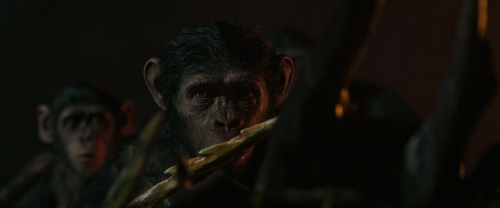 War for the Planet of the Apes (2017) screencap 2226
