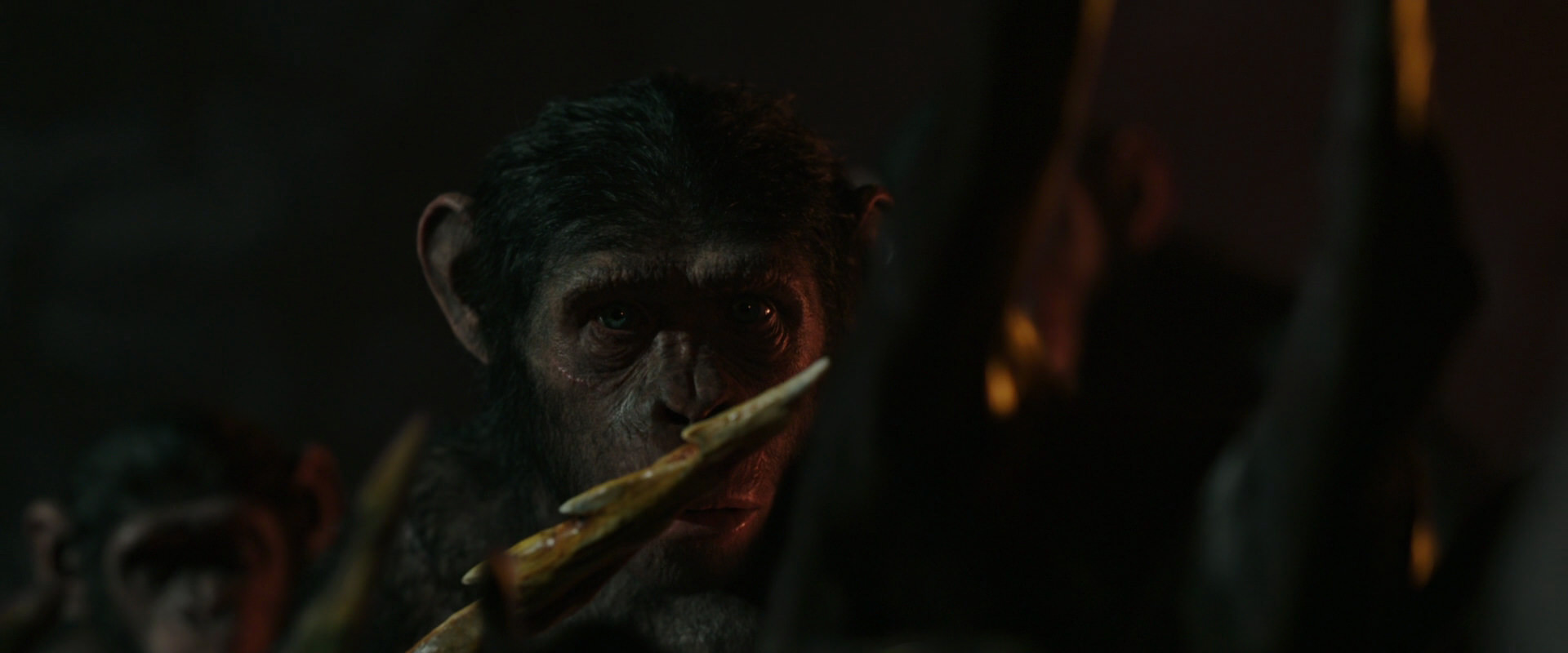 War for the Planet of the Apes (2017) screencap 2229