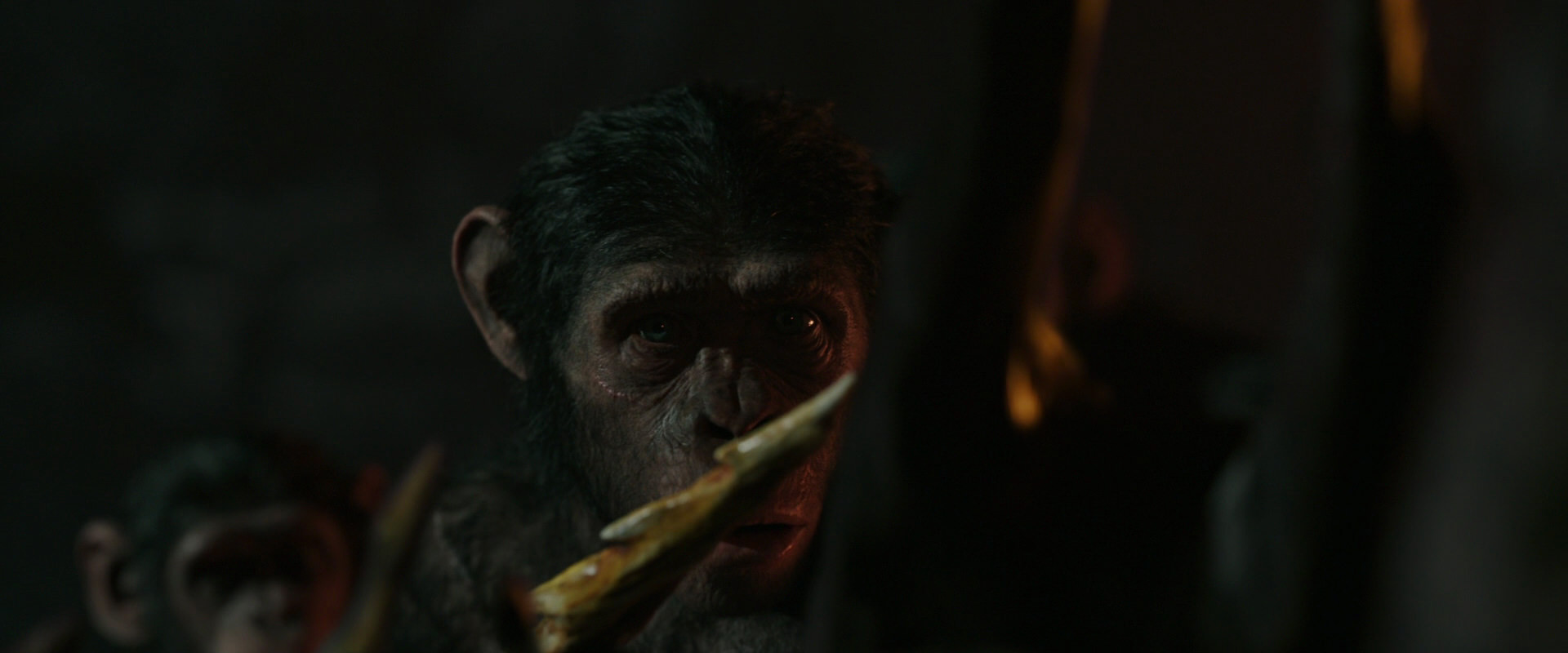 War for the Planet of the Apes (2017) HD screenshot 2231