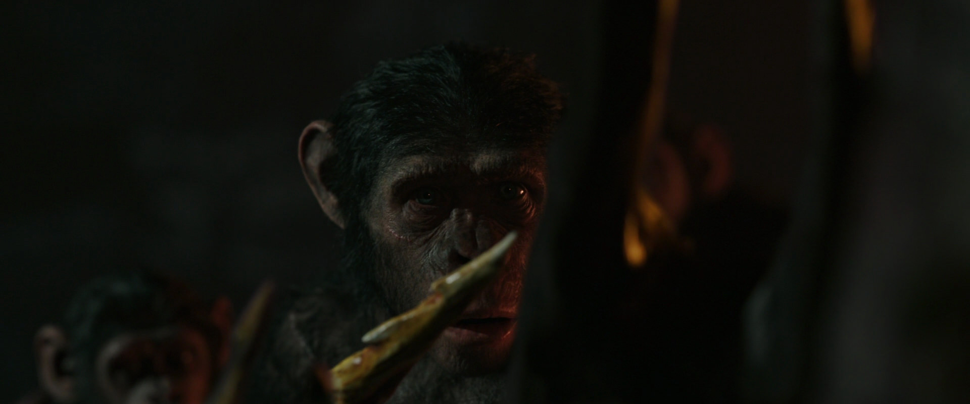 War for the Planet of the Apes (2017) screencap 2232