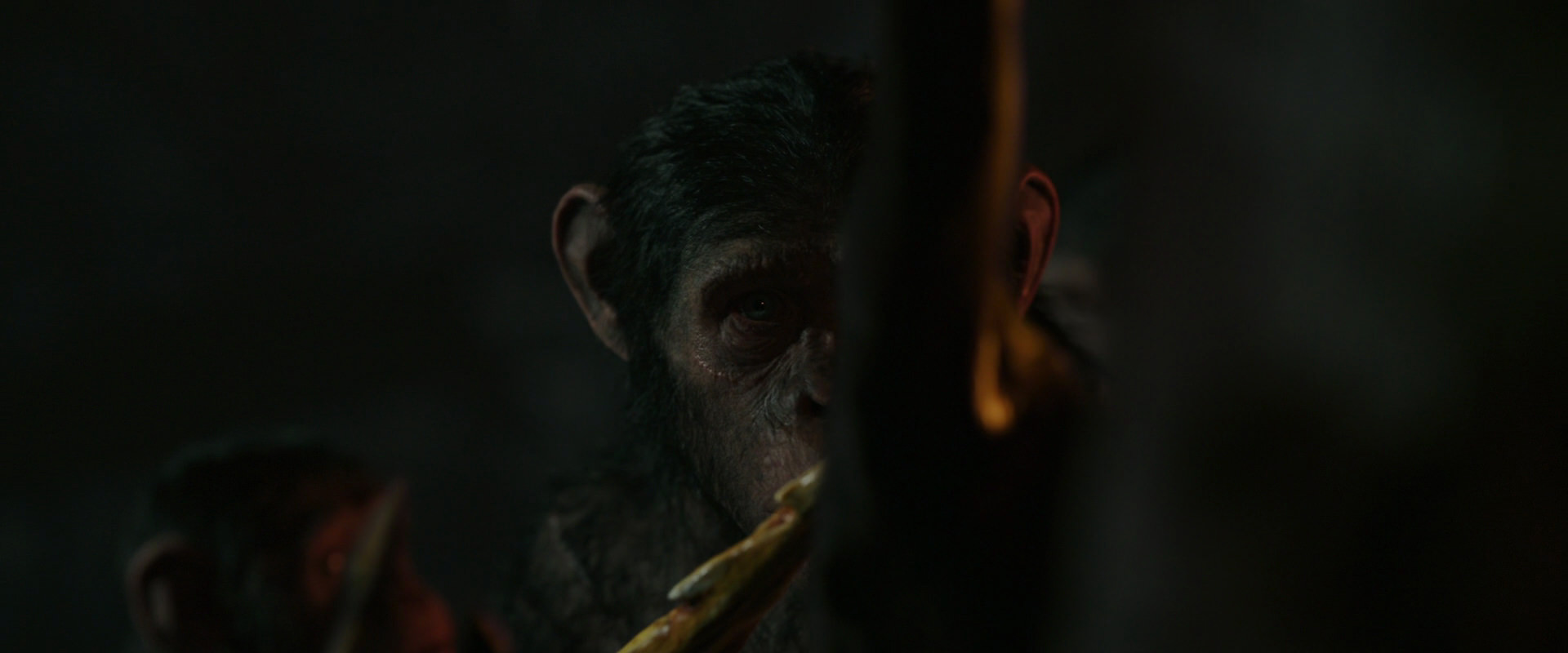 War for the Planet of the Apes (2017) screencap 2235