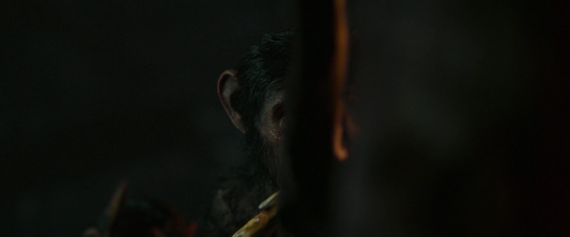 War for the Planet of the Apes (2017) movie still 2236
