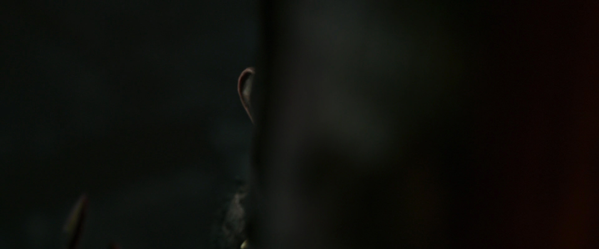 War for the Planet of the Apes (2017) HD screenshot 2237