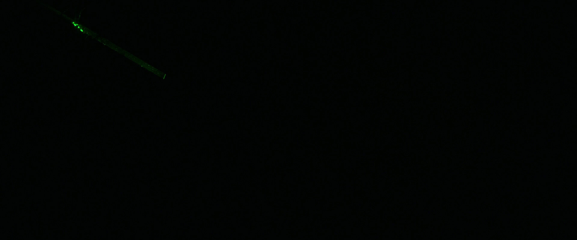 War for the Planet of the Apes (2017) screencap 2310