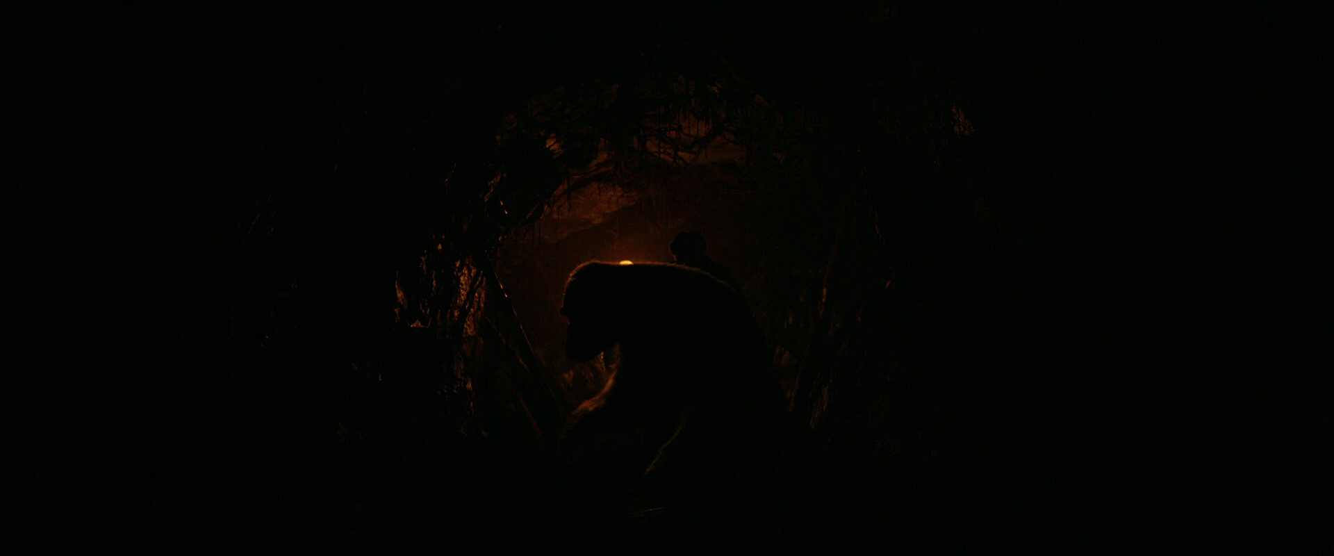 War for the Planet of the Apes (2017) screencap 2322
