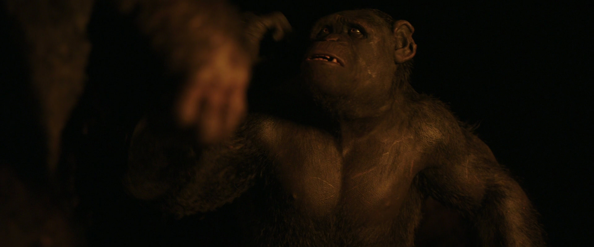 War for the Planet of the Apes (2017) screencap 2328