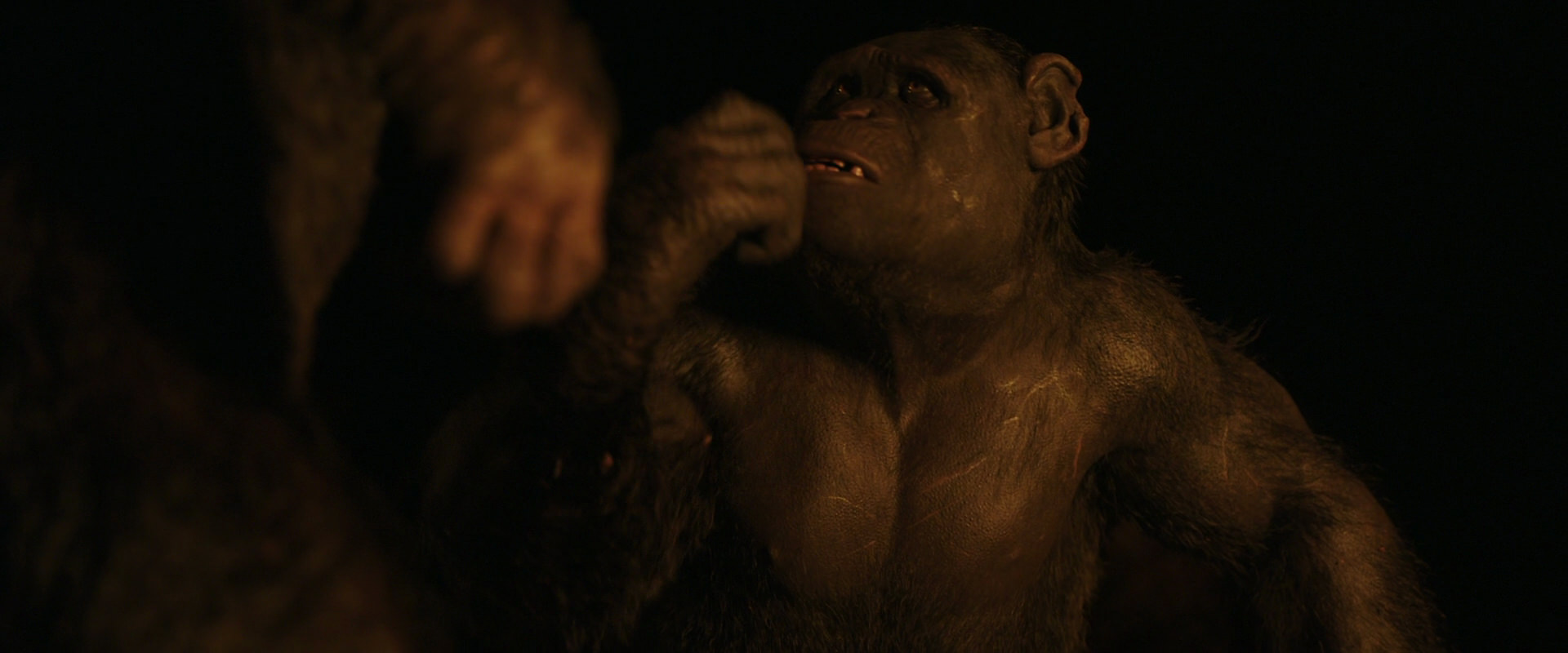 War for the Planet of the Apes (2017) movie still 2329